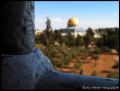ایده هایی درباره مسجد و مساله فلسطین

باز کردن باب تعامل و تبادل فرهنگی در سطح مساجد